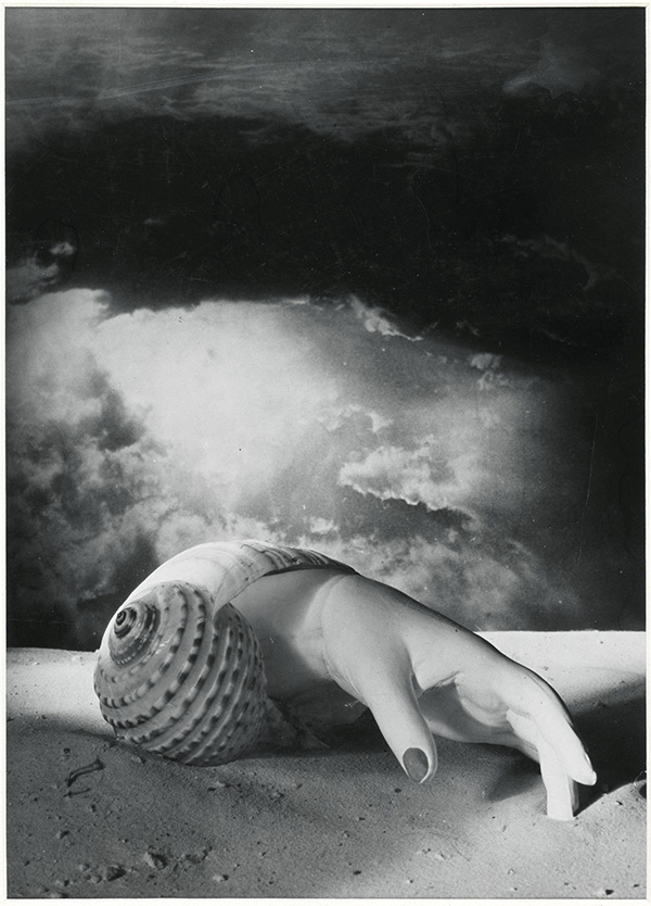 Dora Maar, 1907-1997, Untitled (Hand-Shell) 1934; Centre Pompidou, Musée national d’art moderne, Paris Photo © Centre Pompidou, MNAM-CCI, Dist. RMN-Grand Palais / image Centre Pompidou, MNAM-CCI © ADAGP, Paris and DACS, London 2019
